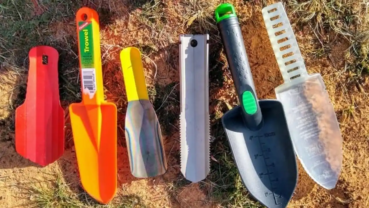 pork chops with cream sauce