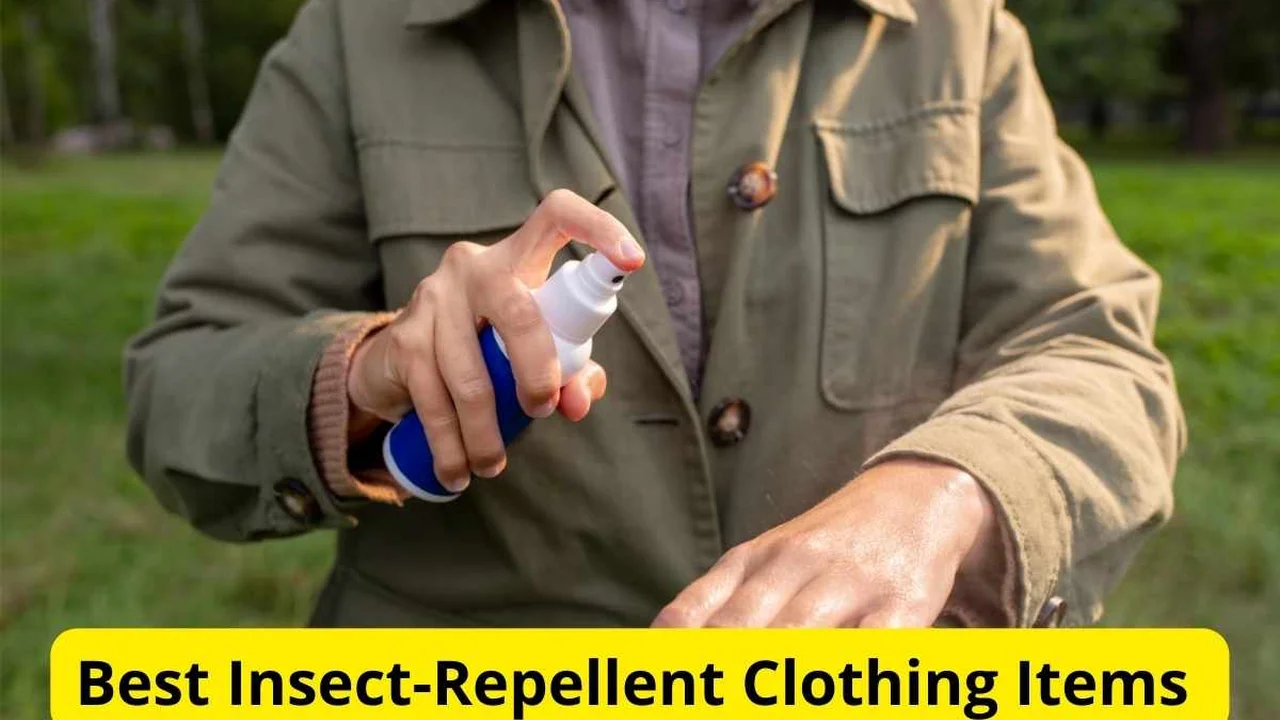 Close up on a plate of mashed potatoes, topped with baked pork chops with cream of mushroom soup, and a side of green beans.