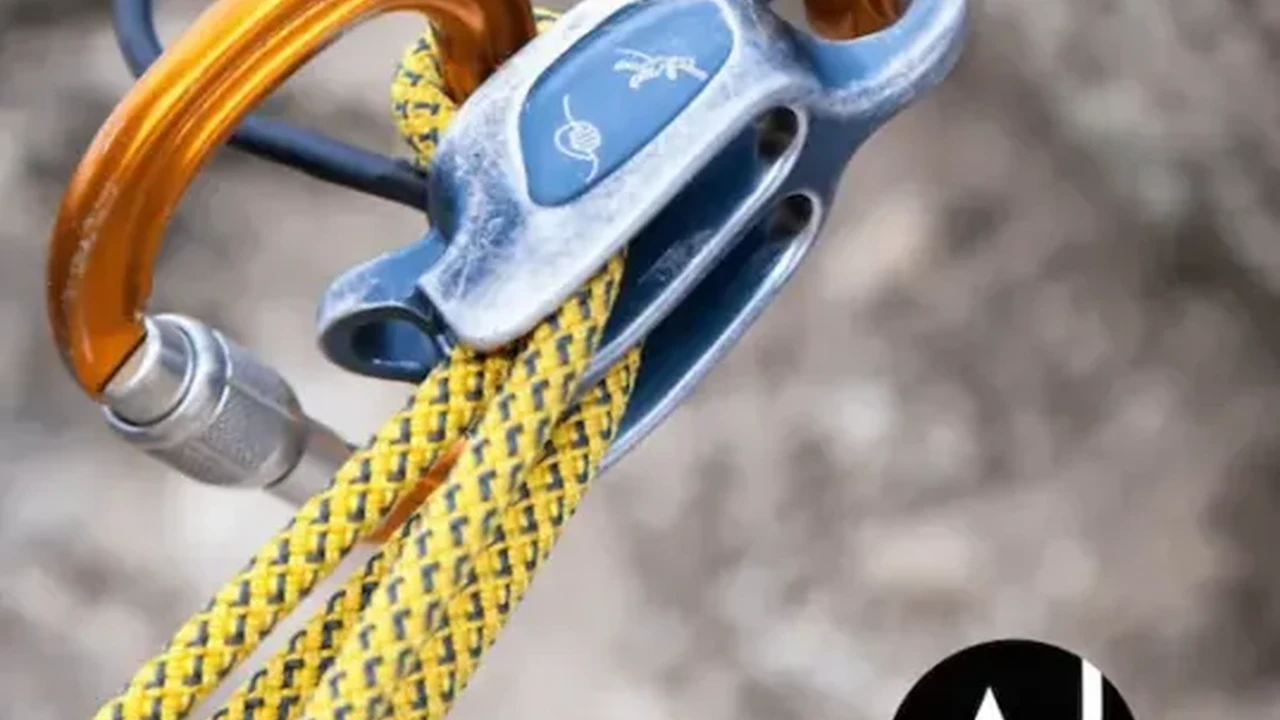 Two mint chocolate milkshakes with whipped cream and green sprinkles.